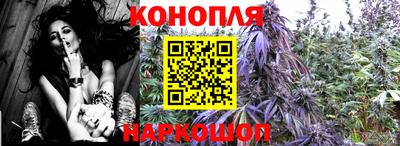 метадон Жуковский