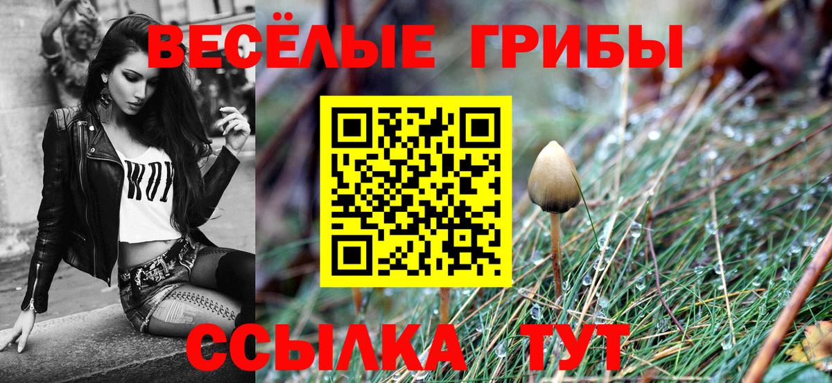 Галлюциногенные грибы мухоморы Партизанск