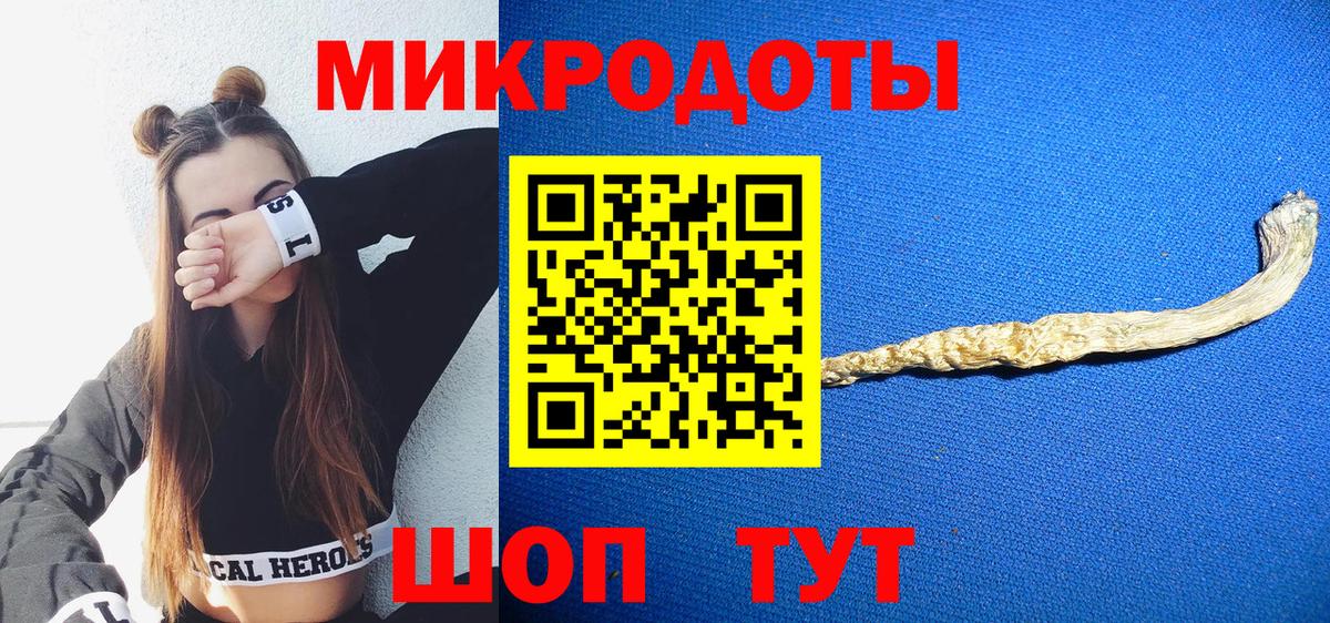 Партизанск  Галлюциногенные грибы Psilocybine cubensis  Вход с VPN 
